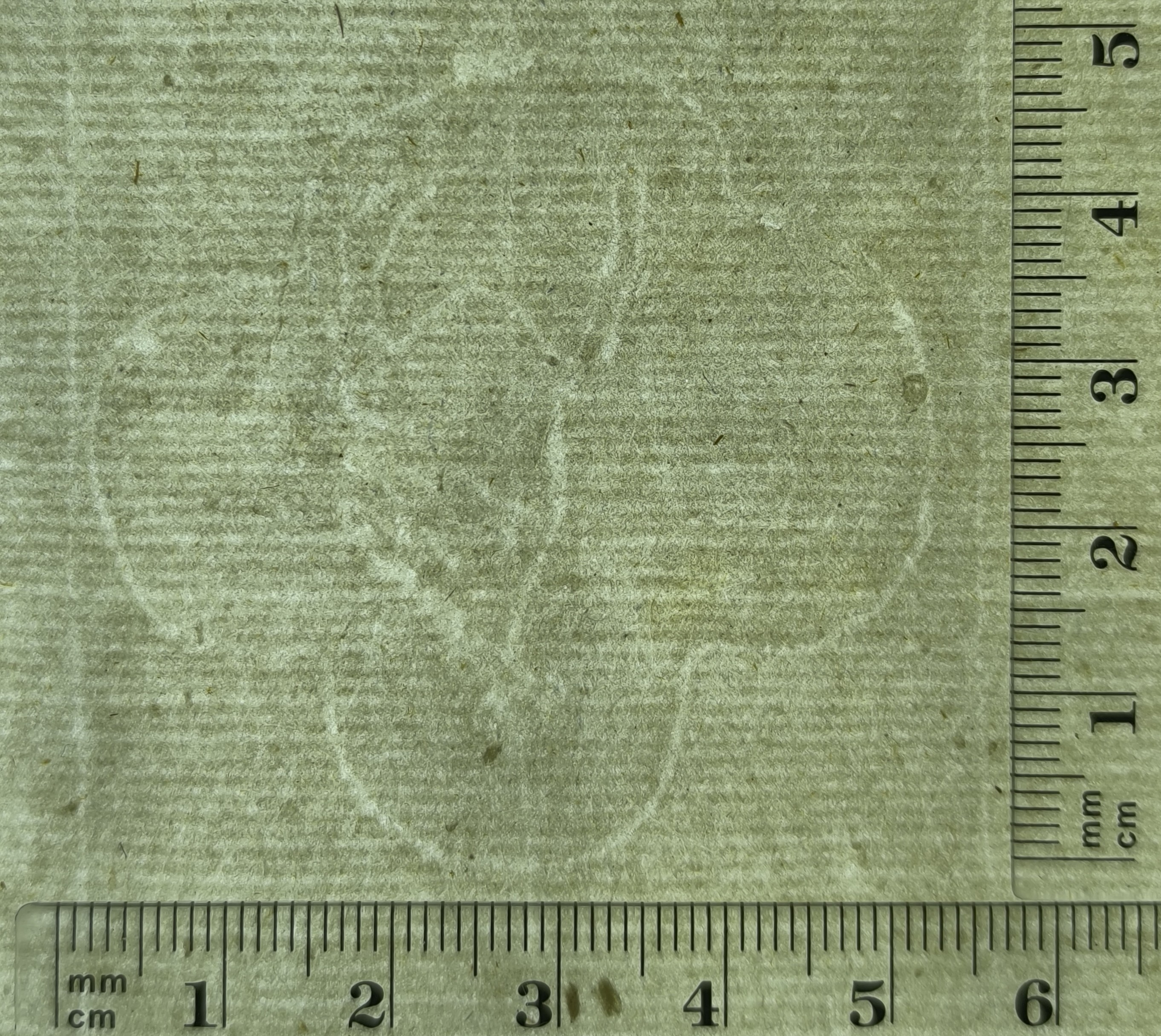 quatrefoil